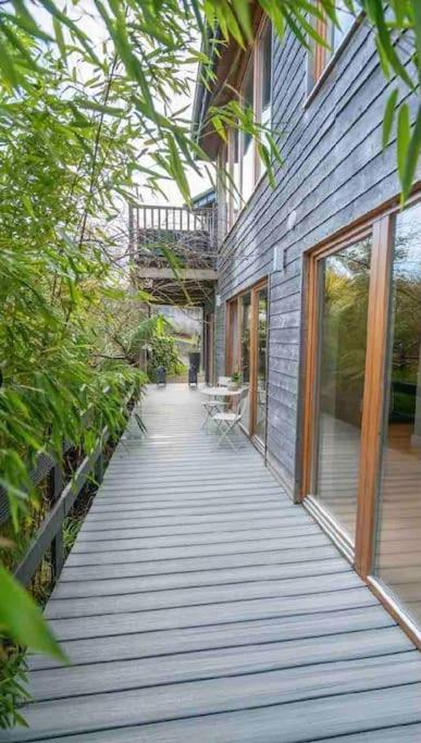 Beautiful Garden Apartment With Private Patio And Garden View Dublin Exterior photo